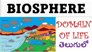 Biosphere in Telugu| Biosphere అంటే ఏమిటి? | Domain of Life | MAJOR DOMAINS OF THE EARTH in Telugu