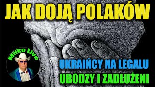 Dojenie Polaków idzie wielką parą. Ukraińcy na lewiźnie. Stan ubóstwa i zadłużenia. Jak być bogatym?