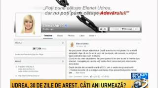 Udrea, pe Facebook: Am încredere ca, în urma apelului, masura arestului preventiv va fi ridicata