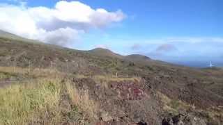 Maui wind farm on the Road to Hana Loop