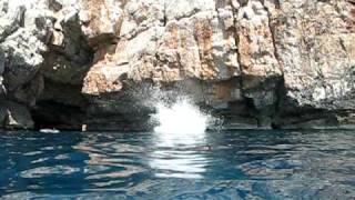 Klippenspringer an der Odysseusgrotte - Insel Mljet