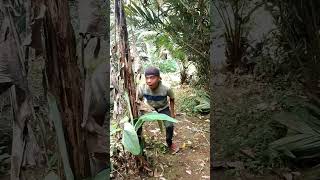 Ini marah #comedy #funny #viralvideo #lucu #ngakak