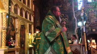 Met. Jonah (OCA) Homily on Pentecost 2015 at Holy Trinity Monastery