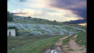 Bosco di Bitonto - Puglia