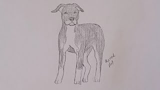 How to draw a dog step by step for beginners | Drawing sketches