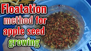 Floatation method for apple seed growing