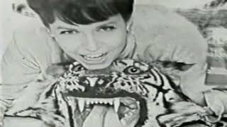 Top Brass Hair Dressing Commercial with Barbara Feldon