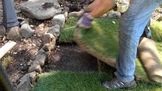 HOW TO INSTALL / REPAIR A SOD PATCH ON LAWN OR GRASS - Perfectly Every Time!!!!!!