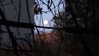 Full Moon over the mountains! Alman Brothers song. Chill vibe #viralvideo #trending #subscribe