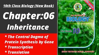 The Central Dogma of Protein Synthesis by gene class 10 | Biology class 10 chapter 6