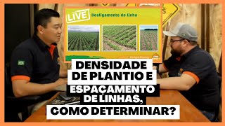 COMO DETERMINAR A DENSIDADE DE PLANTIO E ESPAÇAMENTO ENTRE AS LINHAS | PLANTABILIDADE