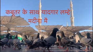 मदीना मे कबूतर  के साथ कुछ लम्हे | play with pigeons in Madina’s Mosque 🕌