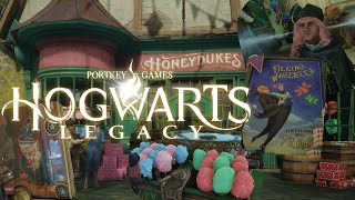 Hogwarts Legacy | Hogsmeade - Honeydukes