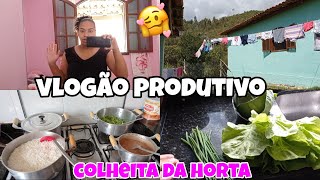 ROTINA DE UMA DONA DE CASA QUE MORA NA ROÇA VLOG