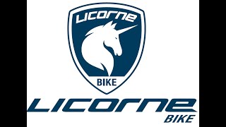 LİCORNE BİKE STRONG 2D 2024