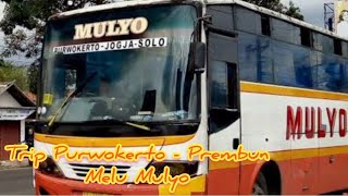 Trip Purwokerto - Prembun Melu Mulyo || #busmulyo #mulyo #buslegendaris