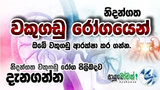 නිදන්ගත වකුගඩු රෝගය | Chronic Kidney Disease | AYUBOWAN | ආයුබෝවන්