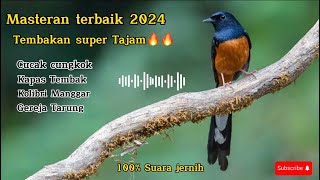 MASTERAN SPESIAL TEMBAKAN SUPER TAJAM UNTUK MURAI BATU DAN SEMUA JENIS BURUNG🔥🔥#muraibatu #cucakijo