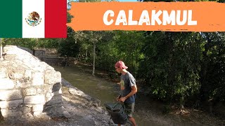 VLOG 3 | Calakmul: Maya-Stadt mitten im Dschungel