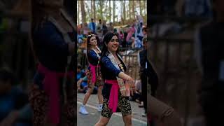 pilien senengamu #karnaval #beranda #storywa #shorts #dance #dj #nari #kebayamodern #costume #vlog