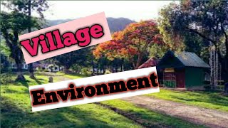 Village Morning Beautiful Environment | Village Environment| General World