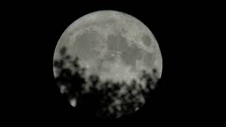 Sorge la super luna del cervo. La luna più grande del 2022.