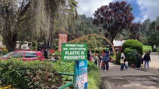 Explore the Stunning Government Botanical Garden, Ooty – A Winter Paradise in December 2024 🌺❄️