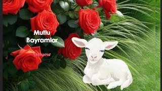 Kısa Kurban Bayramı Mesajı/Hayırlı Bayramlar