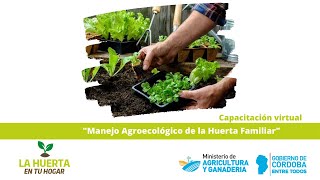 Capacitación Virtual: Manejo Agroecológico de la Huerta Familiar