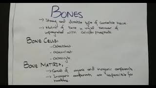 PED136 CA1 Bones and joints