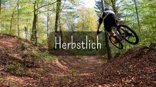 Herbstliche Recovery MTB Trailrunde // Propain Tyee / Gopro Hero 11 / 4K