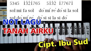 TANAH AIRKU - Not Pianika / Piano | Not Angka dan Huruf Mudah dipelajari