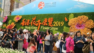 HONG KONG 🌹 FLOWER SHOW 2019 🌺 || Selamat untuk indonesia..telah mendapat..juara 1 tahun ini