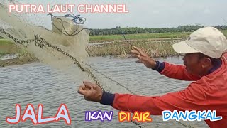 menjala ikan di sawah yang airnya masih dangkal