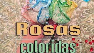 ROSAS NATURALES COLORIDAS-DIY ❤️