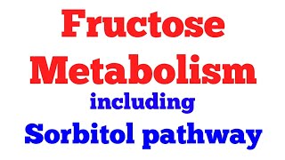 Fructose metabolism || Sorbitol pathway || #Biochemistry