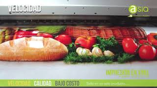 Mutoh Eco-Solvente ValueJet 1604X