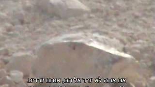 Jewish Israeli Settlers attack the Palestinian Village of Asira