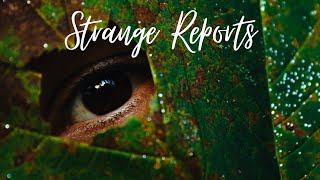 Strange Reports - Part 1 B