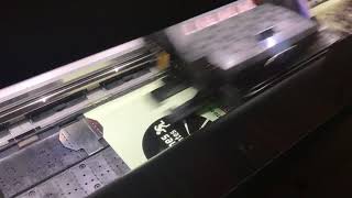 Vinilo fotoluminescente con plotter HP Latex