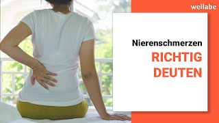 Nierenschmerzen richtig deuten (mögliche Ursachen und Folgen)