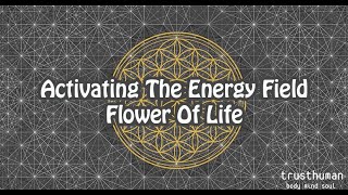 Activating The Energy Field-Flower Of Life