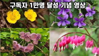 구독자 1만명 달성 기념 영상