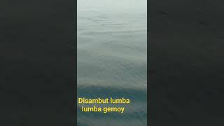 si lumba-lumba gemoy