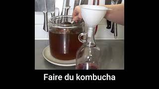 f47 Faire du kombucha à la maison