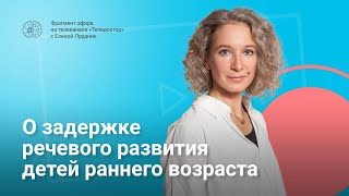 О задержке речевого развития детей раннего возраста 1