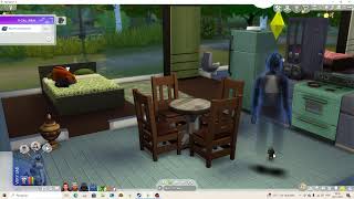 the Sims4  Gameplay