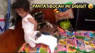 [ lucu ] Bermain dengan kucing kampung peliharaan.