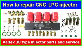 How to service CNG-LPG valtek type 30 injector rail | CNG injector repair kese kare.