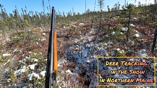 Northern Maine Deer Hunting - Ep.3